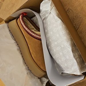 Ugg Tazz NIB